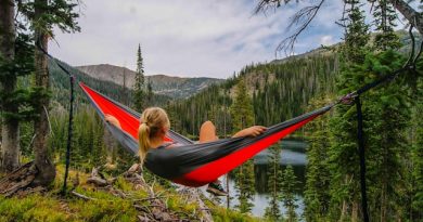 Immersed in Tranquility: Embracing Nature’s Beauty from the Hammock Haven