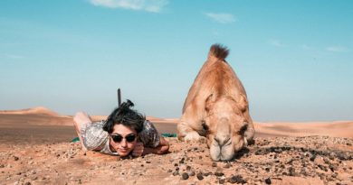 Resting in the Sands: Man and Camel under desert skies
