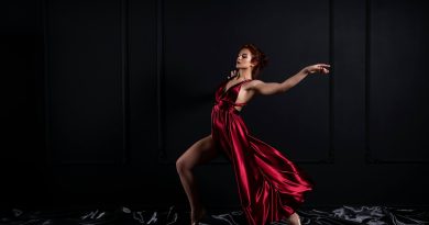 Grace in Every Frame: Aneesa’s Exquisite Fashion Photography Chronicles the Essence of Elegance and Style