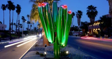 A Cadillac and a Cactus Walk Into a Bar . . .