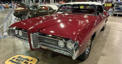 More from MCACN: Maple Leaf Muscle