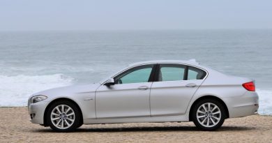 Frozen Solid: Abandoned BMW 5 Series Becomes an Ice Cave on Lake Erie