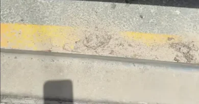 TikTok’s famous beach parking hack debunked