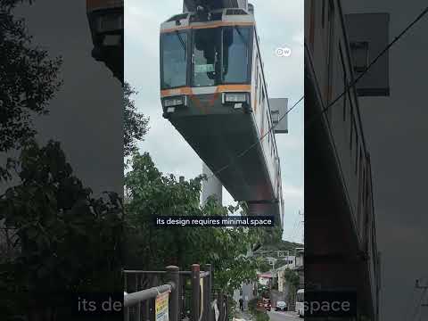 What’s the deal with monorails? #dwbusiness